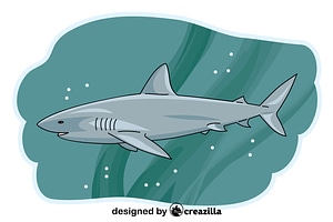 Shark