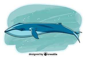 Whale