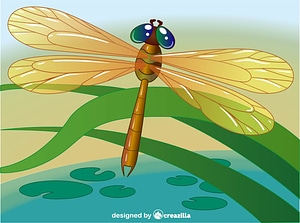 Dragonfly