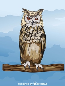 Indian Or Bengal Eagle Owl