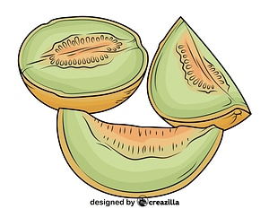 Melon Cut into Pieces