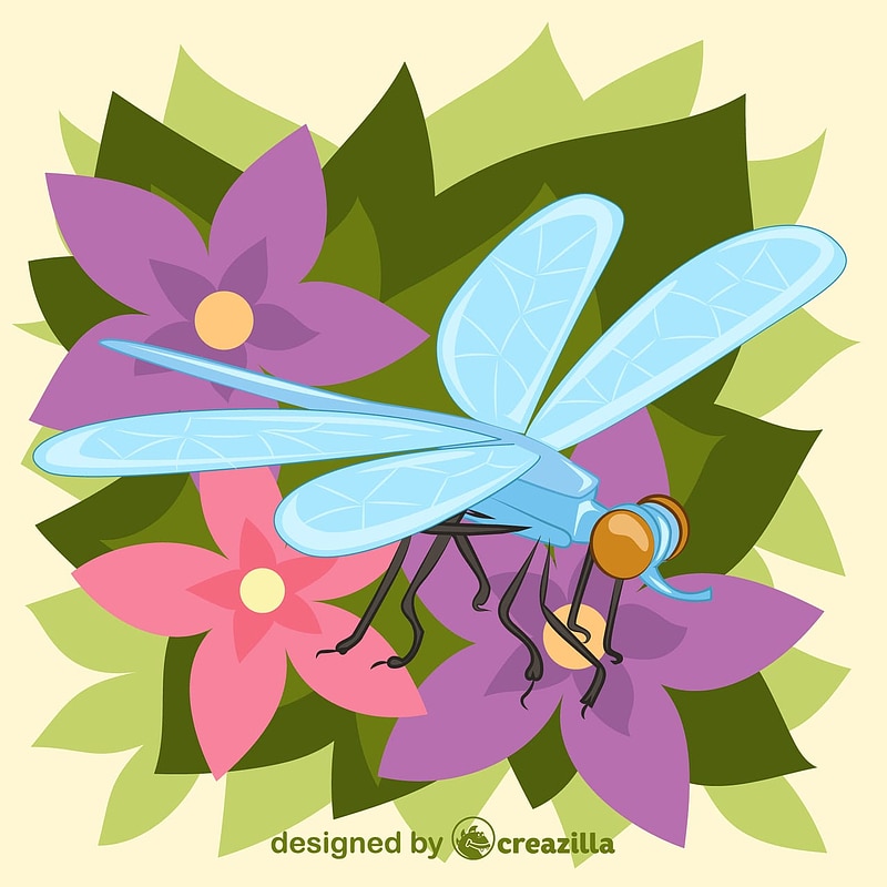 Dragonfly