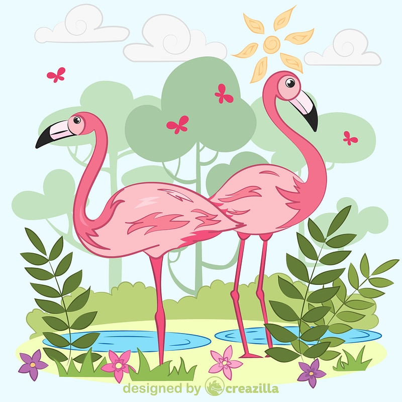 Flamingo