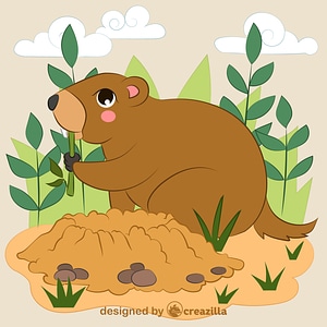 Groundhog