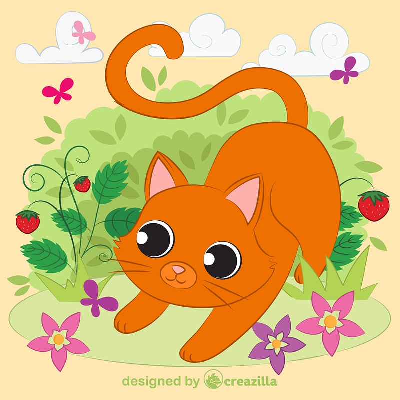 Kitten