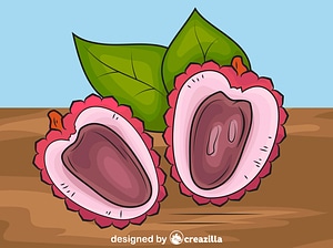 Lychee Cut in Half