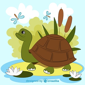 Turtle