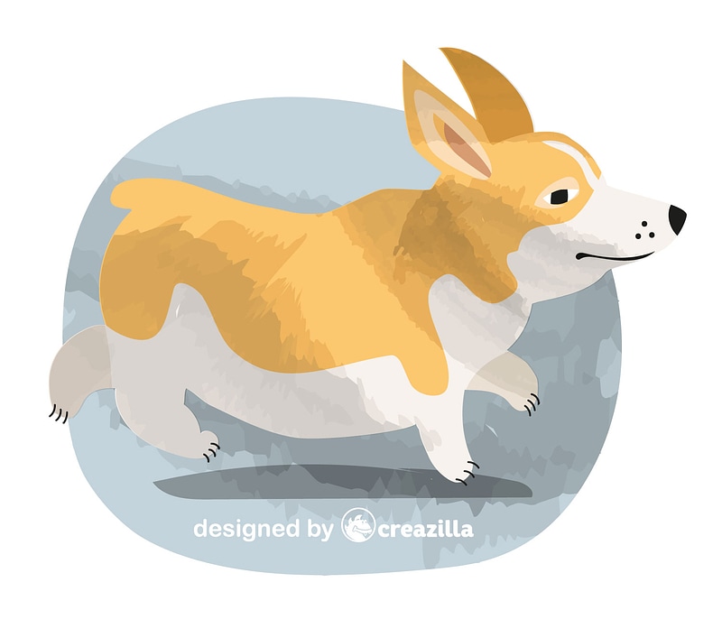 Corgy
