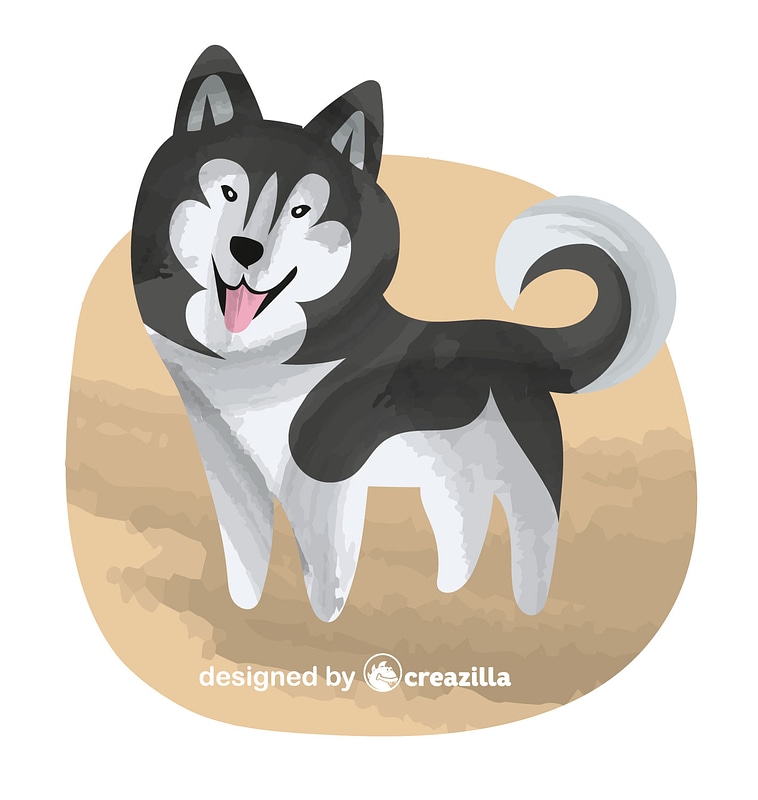 Husky