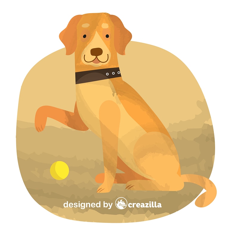 Labrador