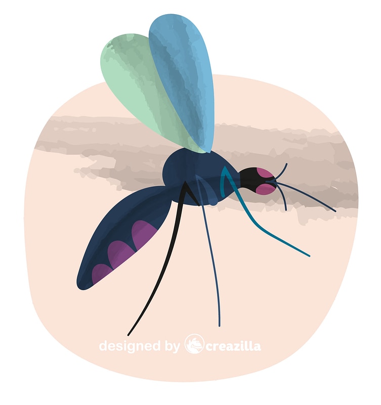 Mosquito