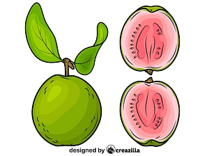 Whole Guava and a Half