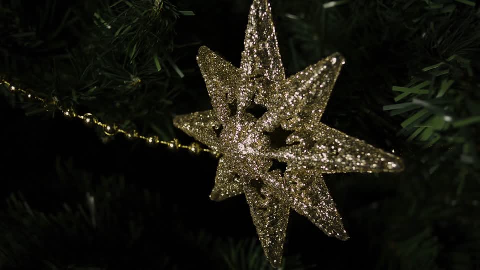 Fir tree christmas star