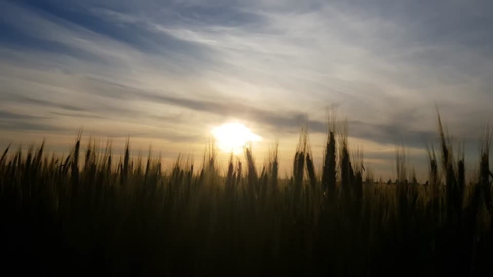 Sunrise sun sunset