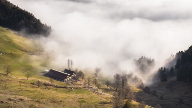Fog house landscape