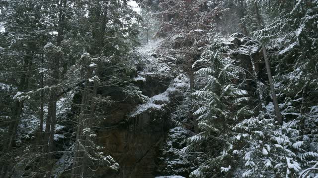 Okanagan winter snowfall