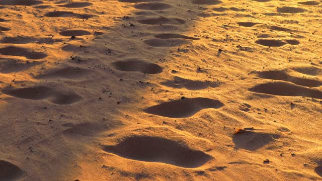 Beach sand sunset