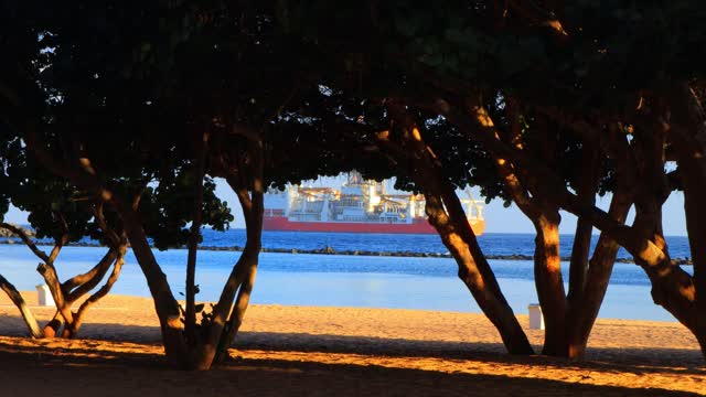 Trees beach ship