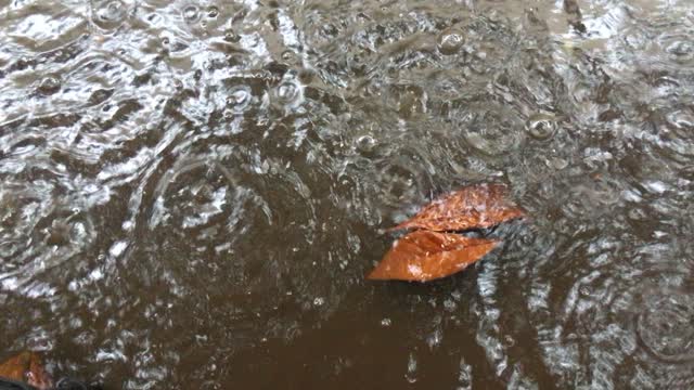 Rain drops liquid