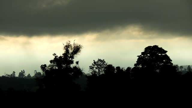Landscape sunset nature