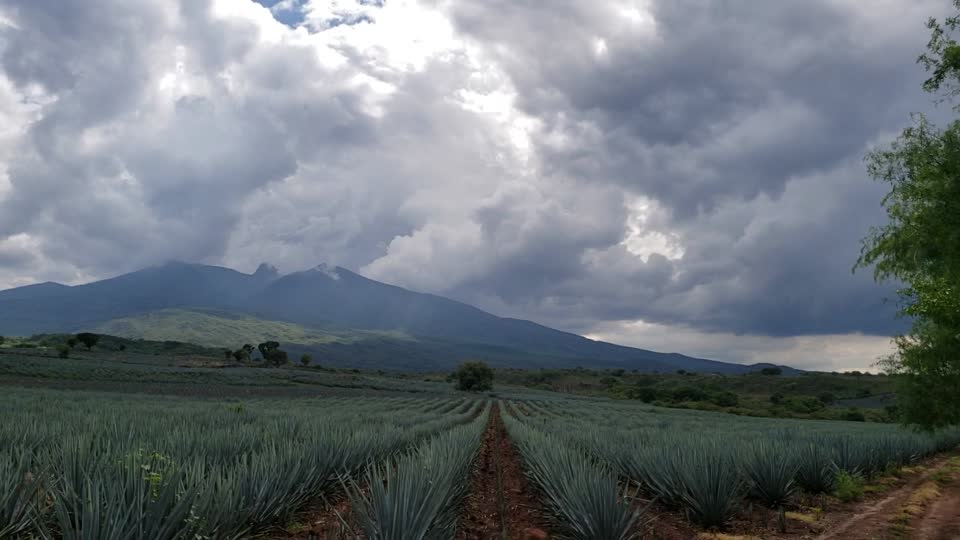 Volcano tequila mexico