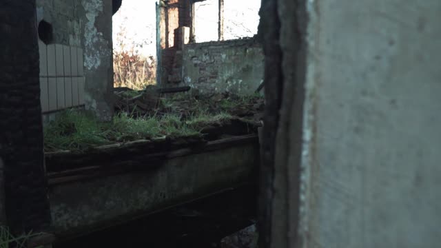 Ruins house burnt