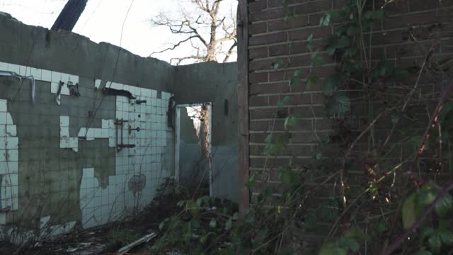 Ruins house burnt