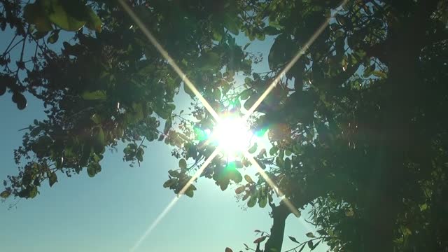 Sun landscape nature