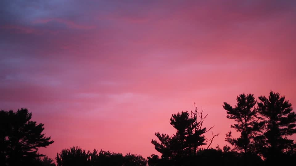 Sunset pink yellow