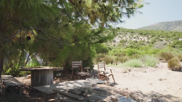Beach chairs tree