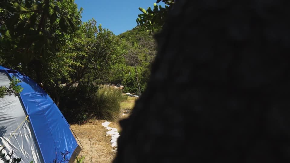 Tents summer nature