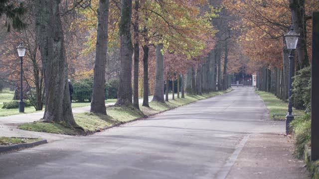 Baden baden nature avenue