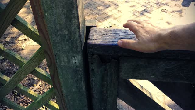 Opening door gate