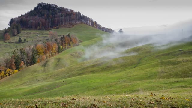 Fog flow move
