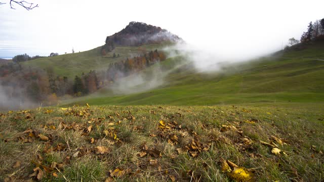 Fog flow move