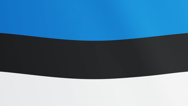 Flag estonia country