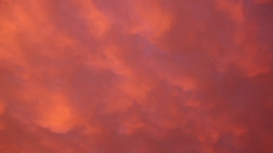 Sunset pink yellow