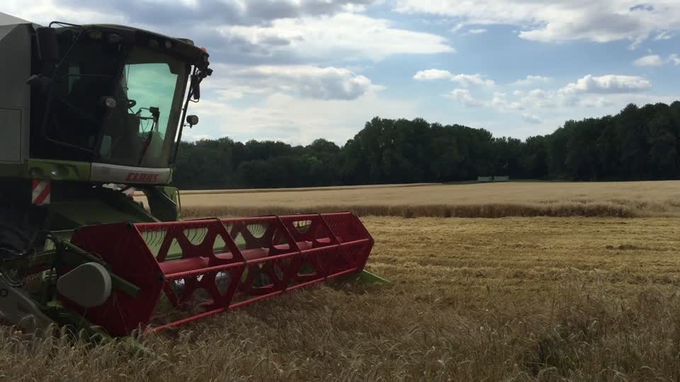 Combine harvester harvest machine