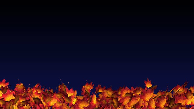 Autumn leaves colorful
