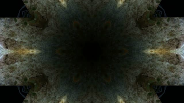 Motion background nature
