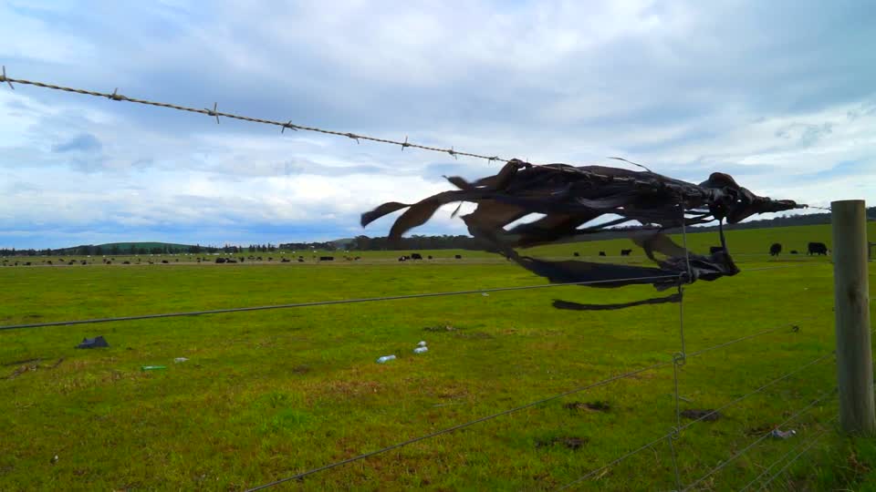 Plastic fence pasture
