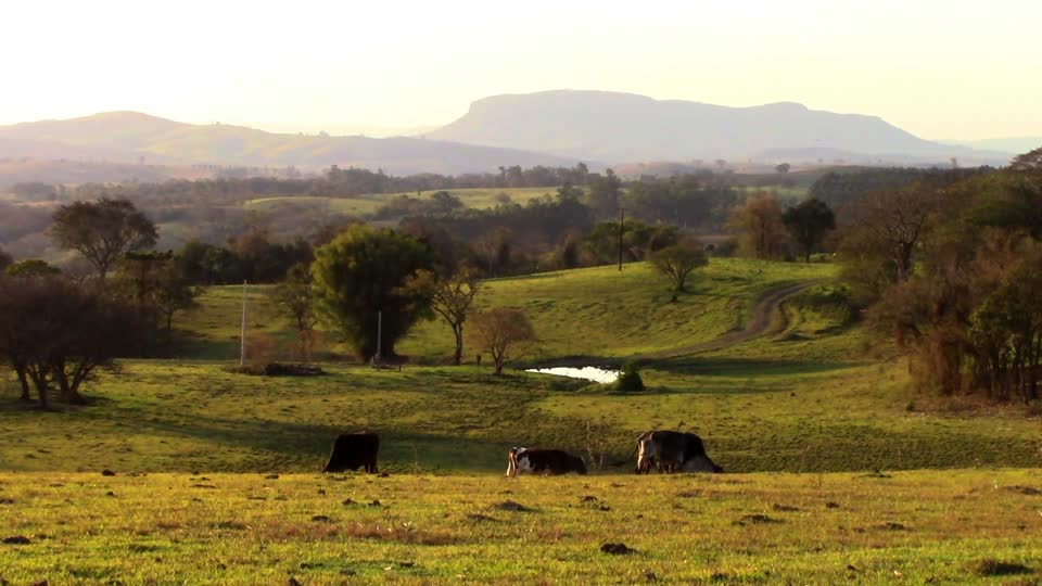 Field landscape eventide