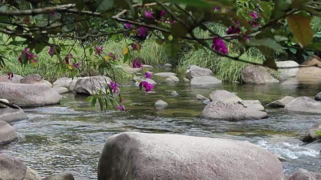 Waterfall water nature