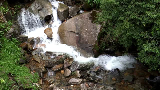River stream nature