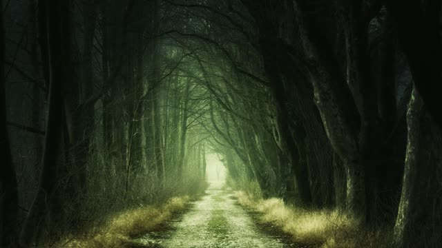 Forest grim dark