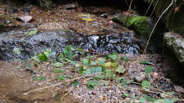 Valley water sound