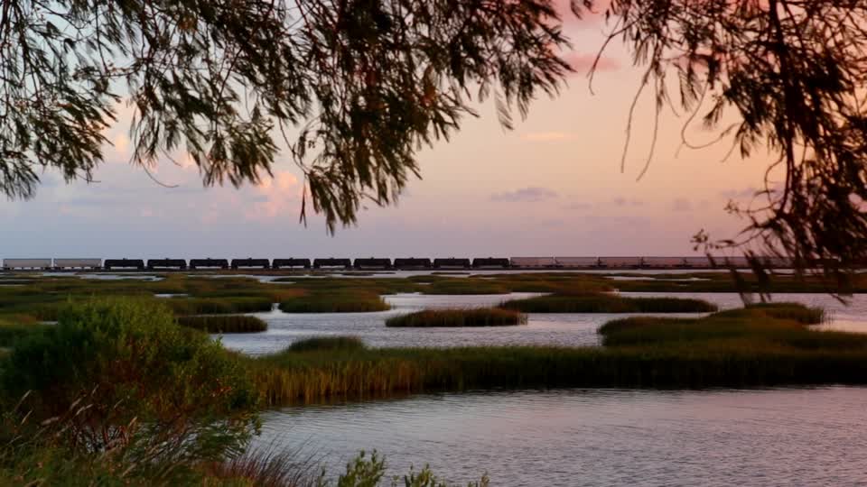 Marshland estuary train