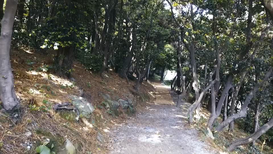 Busan taejongdae nature