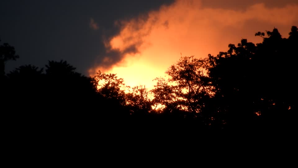 Nature landscape coffee sunset