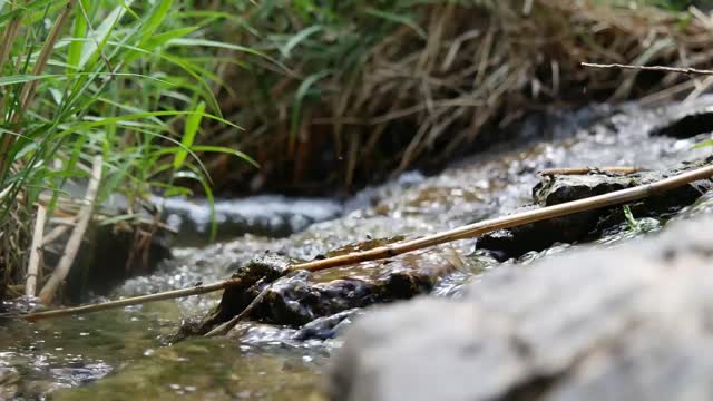 Streams water nature